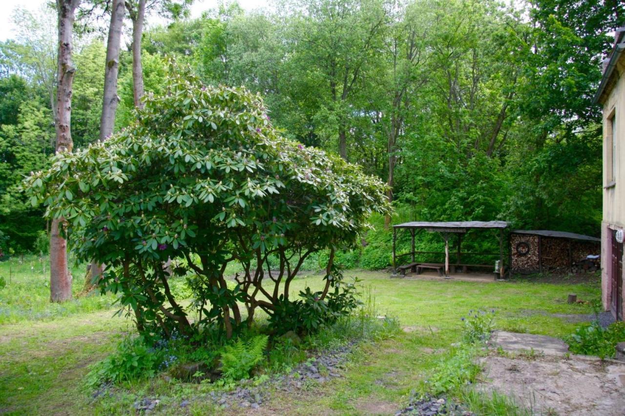 Villa Sunshine / Slunecna Vila Krásná Lípa Eksteriør billede