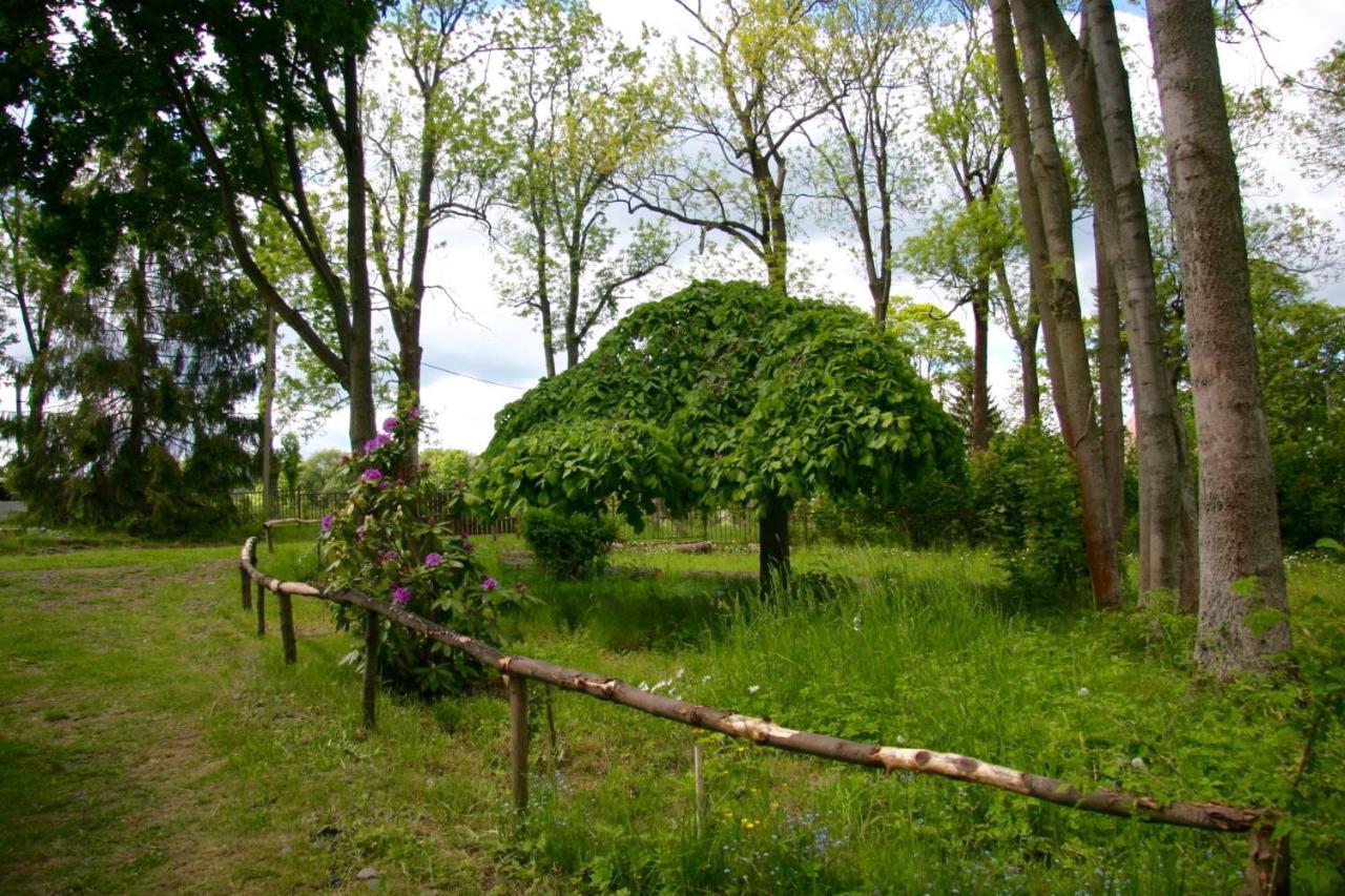Villa Sunshine / Slunecna Vila Krásná Lípa Eksteriør billede