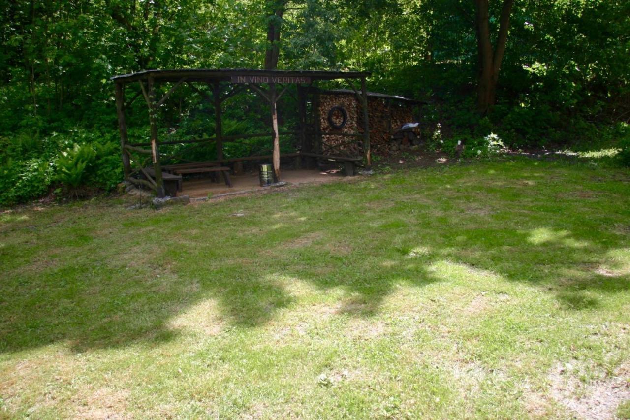Villa Sunshine / Slunecna Vila Krásná Lípa Eksteriør billede
