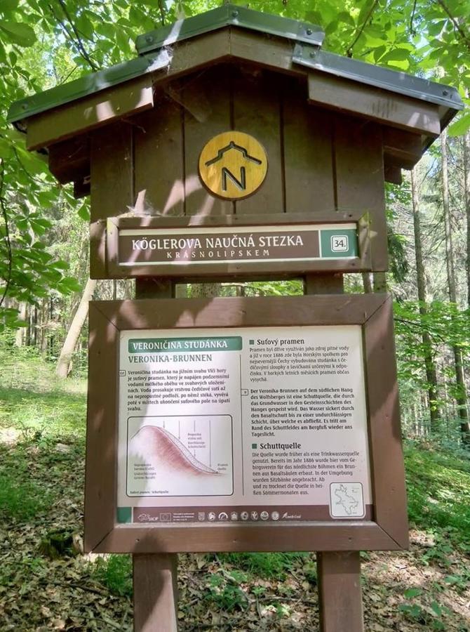 Villa Sunshine / Slunecna Vila Krásná Lípa Eksteriør billede